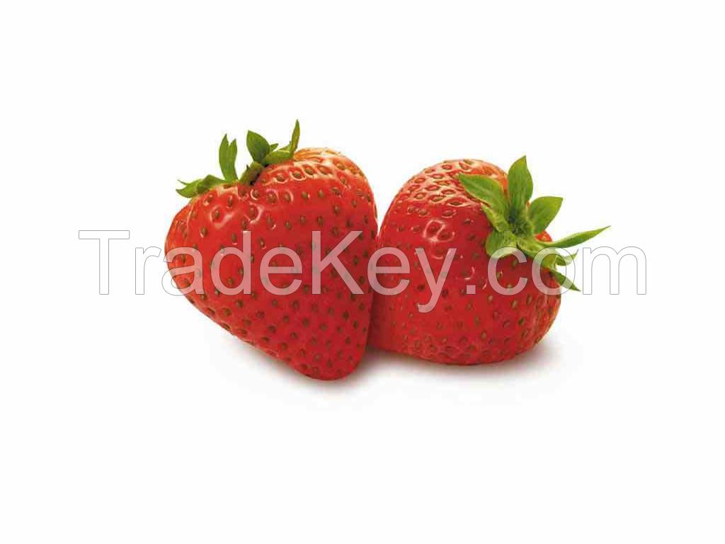 Fresh Strawberry