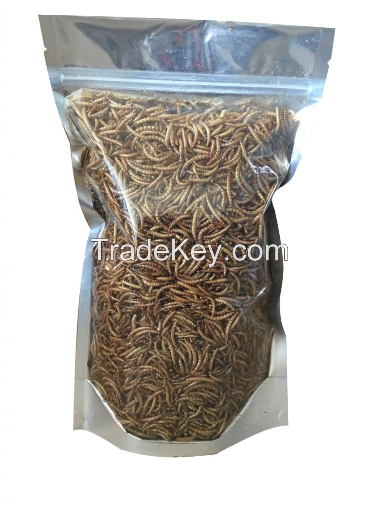 Dried mealworm in bag