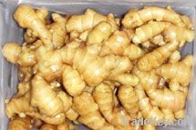Fresh Chinese ginger