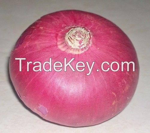 Red Onions