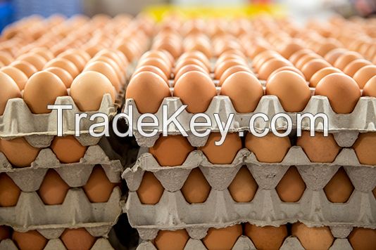 White/Brown Fresh Table Chicken Eggs