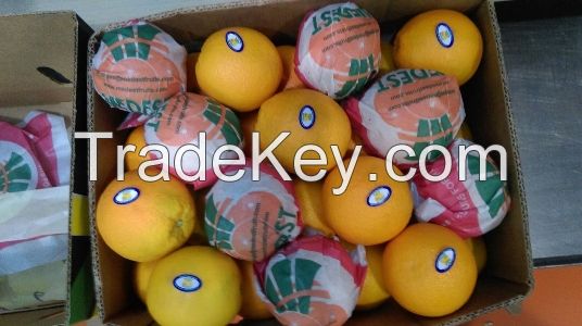 Fresh Valencia Oranges