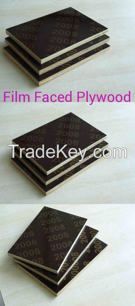 film faced plywood/first grade plyeood