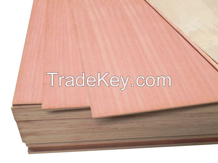 Sapele Veneer Plywood/ Red Oak Plywood