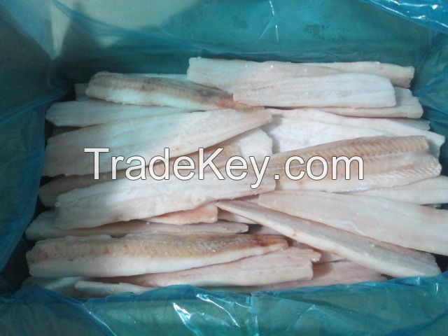 frozen south blue whiting fillet