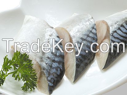 frozen mackerel fillet