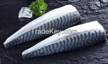 frozen mackerel fillet