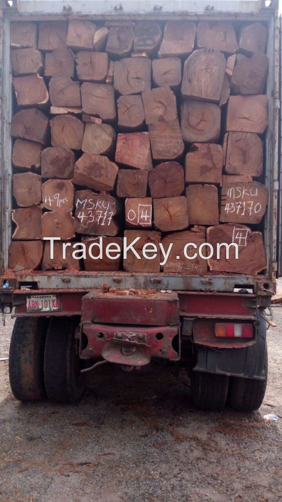 Kosso Wood long logs of Nigerian Origin