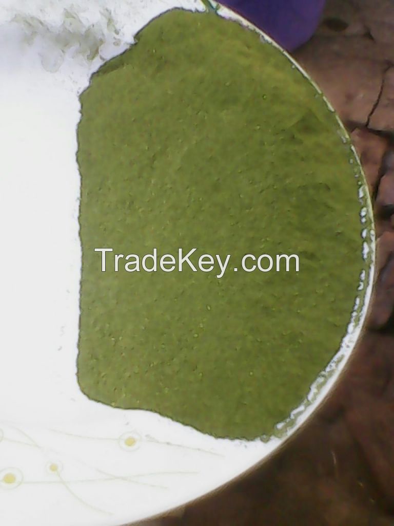 ORGANIC MORINGA SEEDS AND LEAF POWDER FROM MALAWI