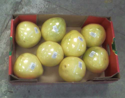 Honey Pomelo