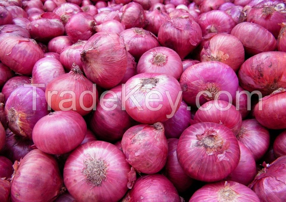 onions