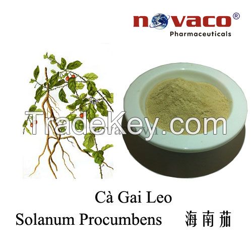 Solanum Procumbens extract