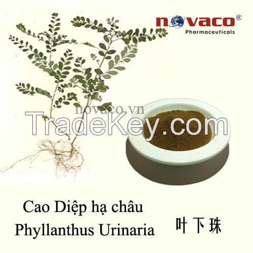 Phyllanthus Urinaria extract