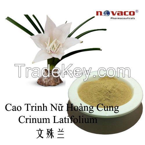 Crinum latifolium extract