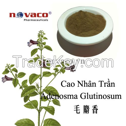 Adenosma glutinosum extract