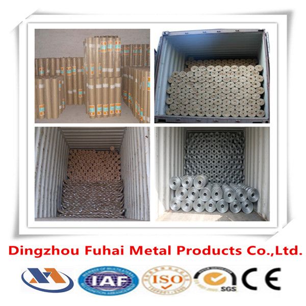 welded wire mesh/galvanized mesh