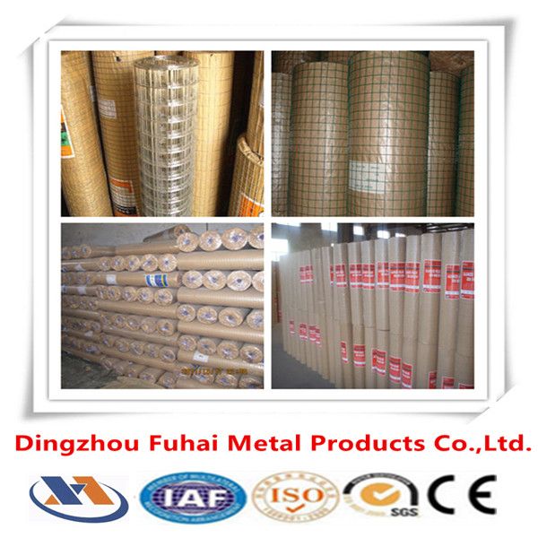 welded wire mesh/galvanized mesh