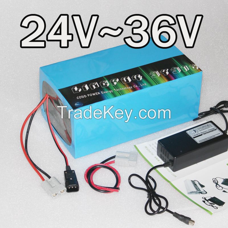 24V, 36V electric bike Lithium battery