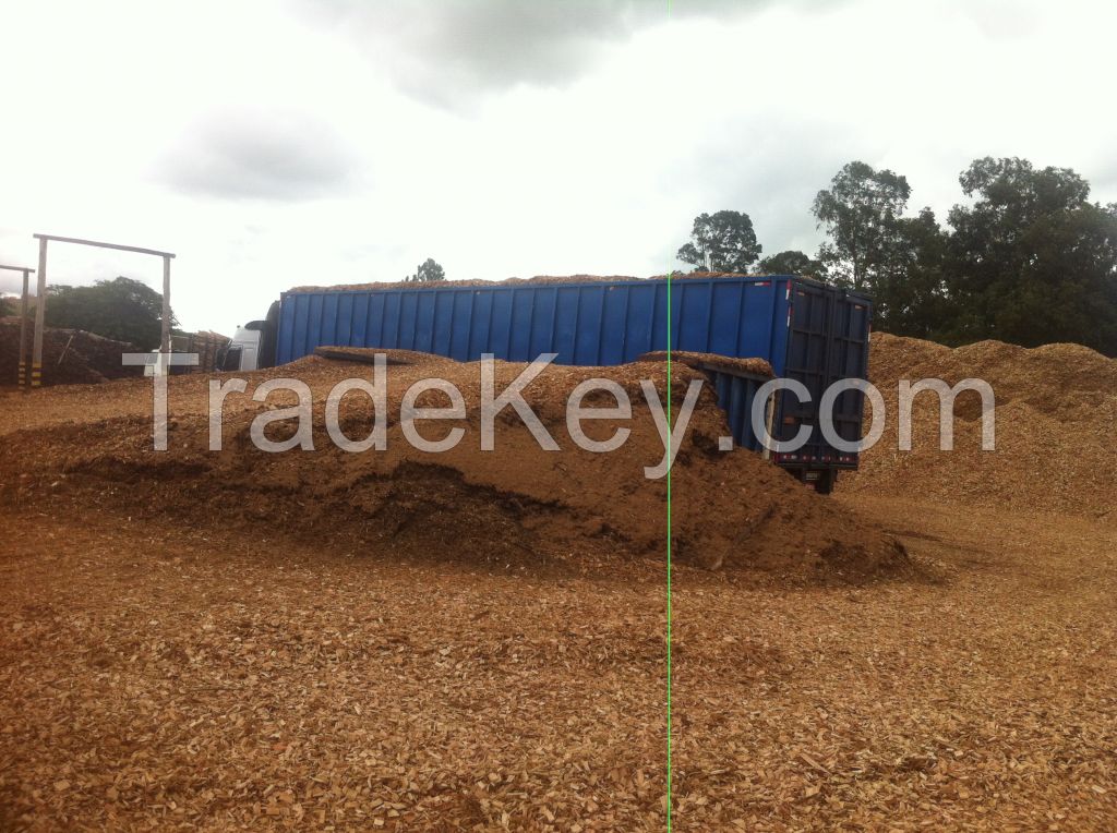 EUCALYPTUS / PINE WOOD CHIPS