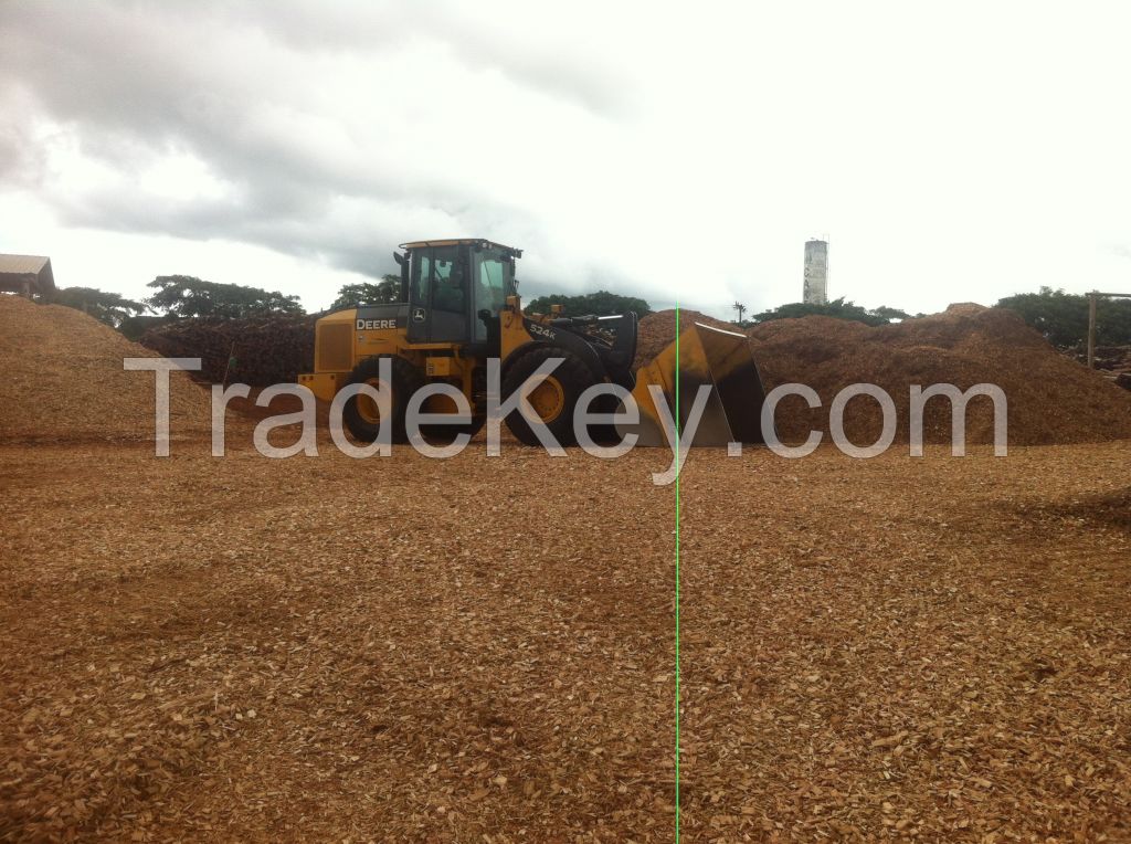 EUCALYPTUS / PINE WOOD CHIPS