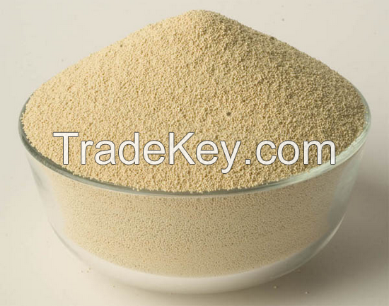 Soybean Meal