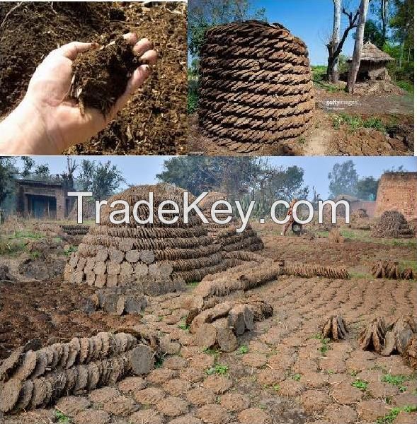 cow dung powder & cow dung pieces