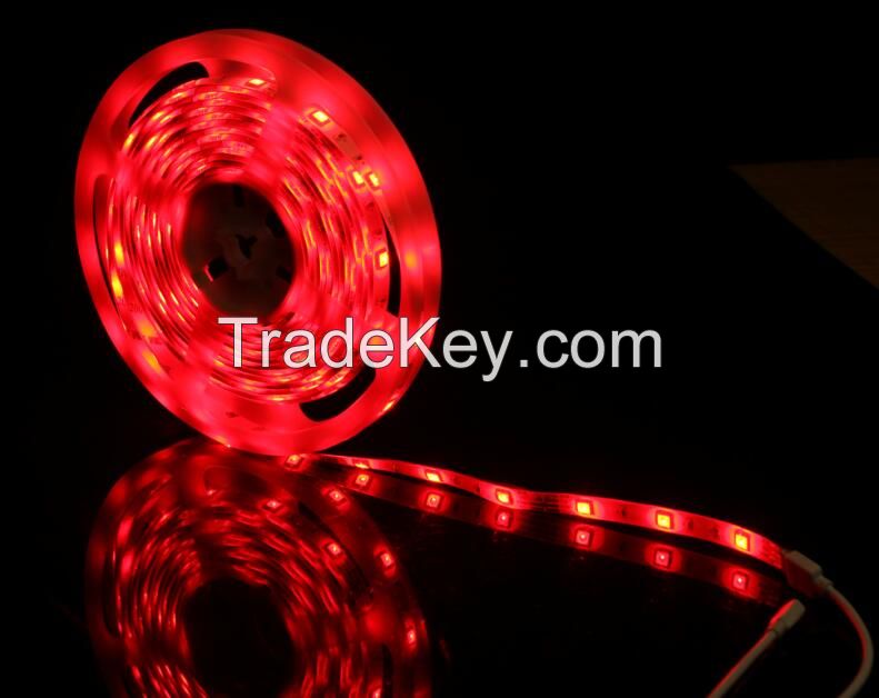 smd 3528 led strip with CE ROHS