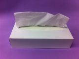 100sheets Virgin Pulp Box Facial Tissue FT2100V