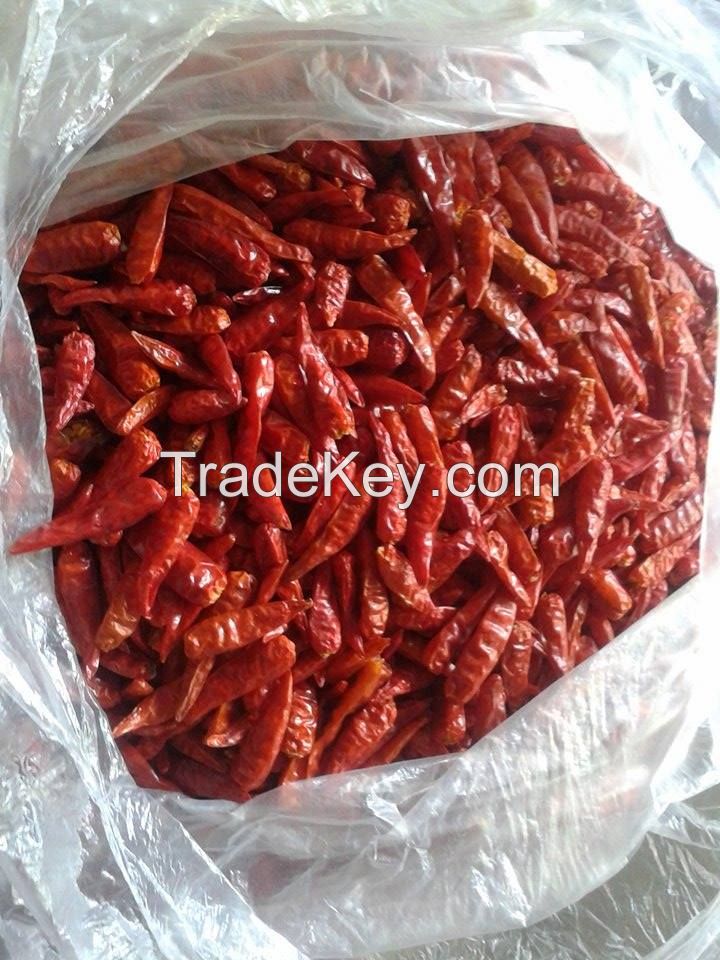 red chilli with the best price Vietnam origin