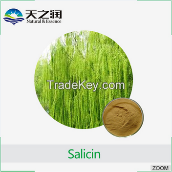 Factory supply Certified white willow bark extract Salicin Powder