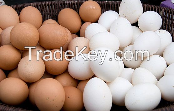 Fresh Brown And White Chicken Eggs