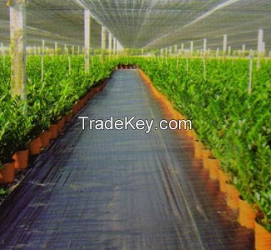 Good quality polypropylene pp weeding cloth ground cover used for agriculture