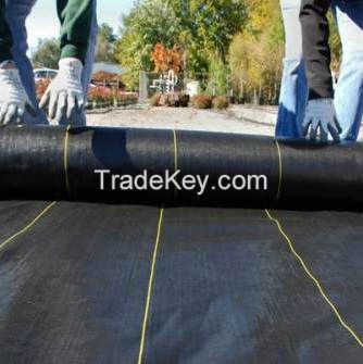 PP Woven Geotextile Fabric for Garden Weed Surpress Landscape