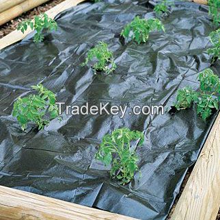 Black flat yarn woven weed barrier fabric with colored stripes used for agriculture