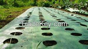 Wholesale polypropylene weed control fabric for agriculture weeding prevent