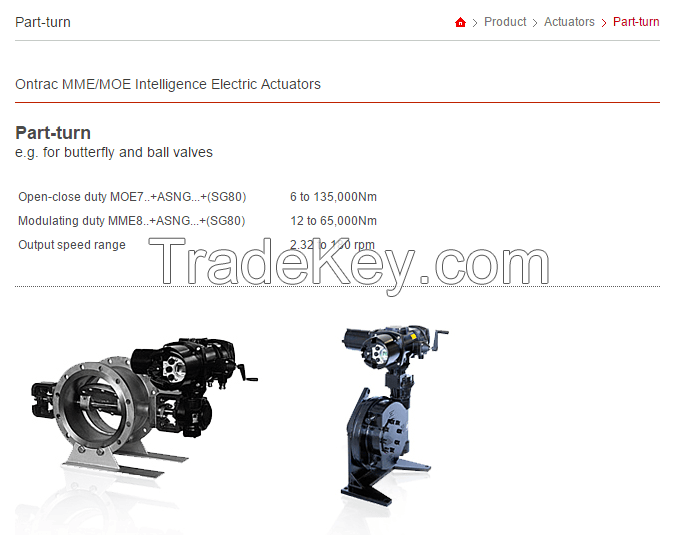 intelligent electric actuator