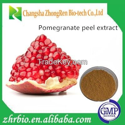 GMP Manufacturer supply Pomegranate peel extract Ellagic acid 80%