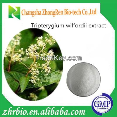 Top Quality Tripterygium Wilfordii Extract Powder 95% 98%Triptolide