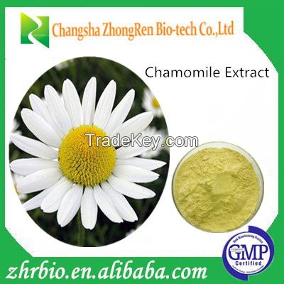 Chamomile Extract 5:1 10:1 20:1 and 1.2% 1.6% Apigenin