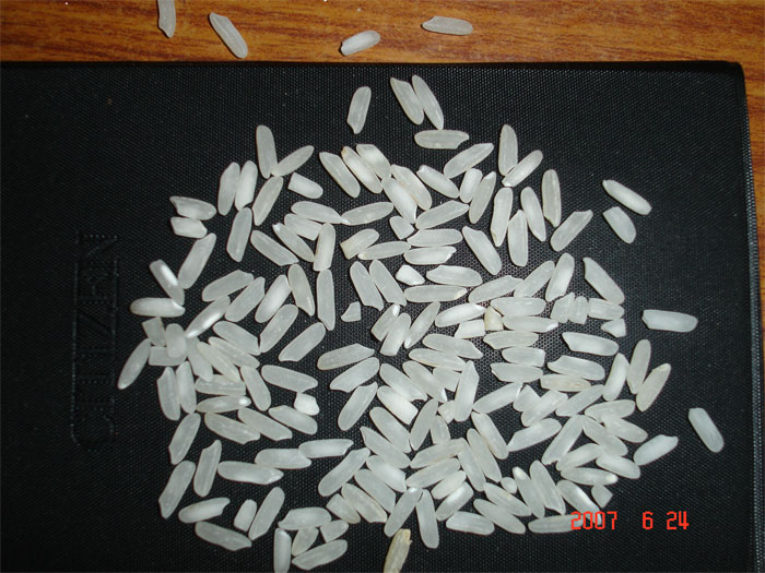 RICE SUPPLIER| PARBOILED RICE IMPORTERS | BASMATI RICE EXPORTER| KERNAL RICE WHOLESALER| WHITE RICE MANUFACTURER| LONG GRAIN TRADER| BROKEN RICE BUYER | IMPORT BASMATI RICE| BUY KERNAL RICE| WHOLESALE WHITE RICE| LOW PRICE LONG GRAIN