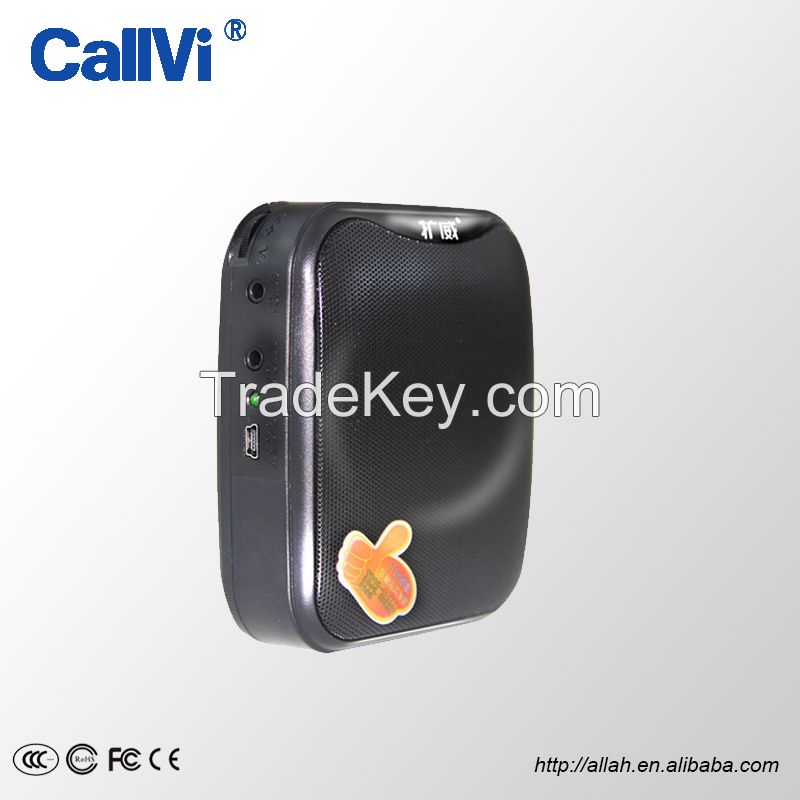 Callvi good quality cheapest mini voice amplifier with double microphone