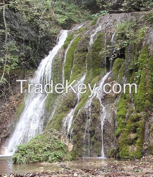 NATURAL DRINKING WATER FROM EUROPEAN ALPS