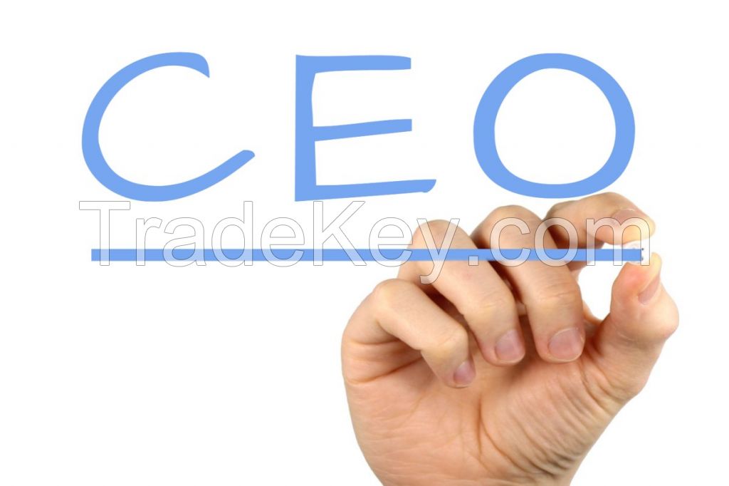 Chief Executives Email Lists - CEO Mailing Lists - CEO Email Database