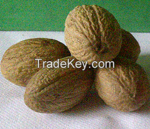 Sound unassorted Nutmeg seed dried( in shell)
