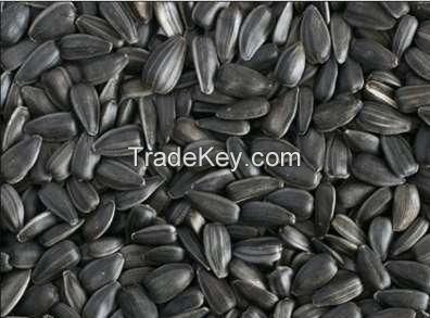 sunflower seeds