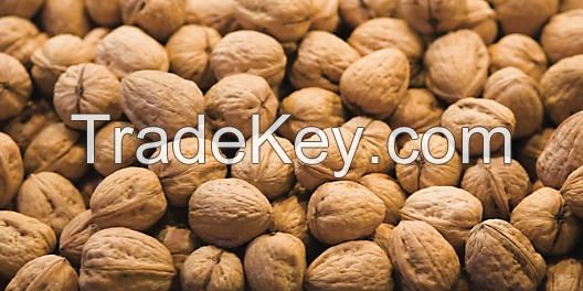 100% Organic Walnuts/Shelled and Unshelled