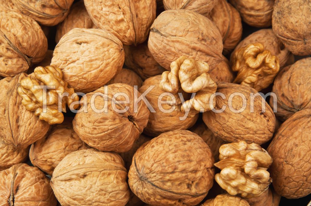 100% Organic Walnuts/Shelled and Unshelled