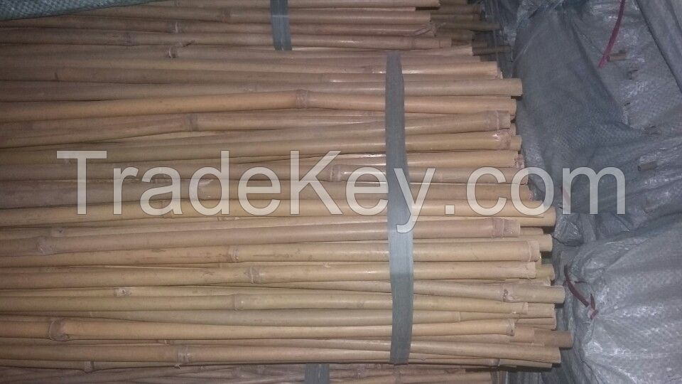 Natural Tonkin Bamboo Poles