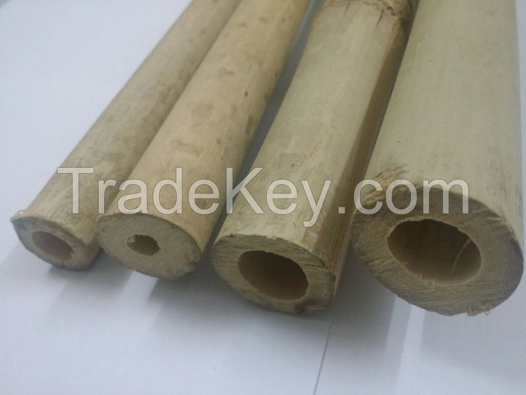 Solid Bamboo Poles