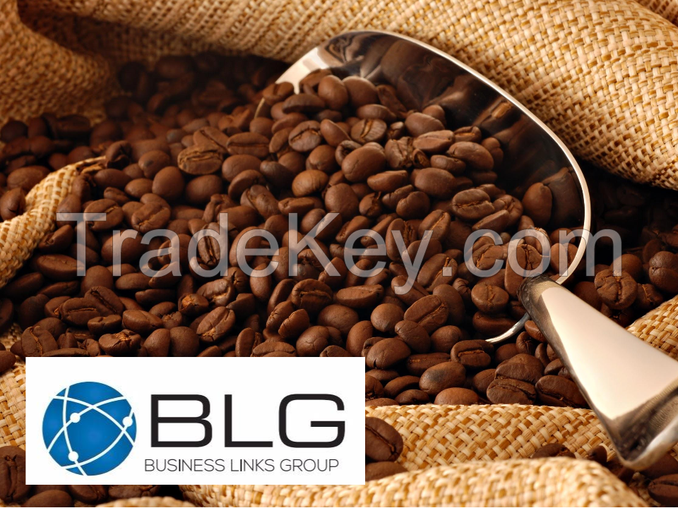 Ecuadorian Cocoa Beans